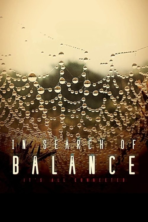 Movie poster for In Search of Balance (2016)
