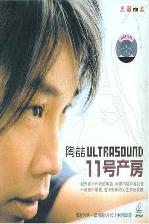 Movie poster for Delivery Room 11 (2003)