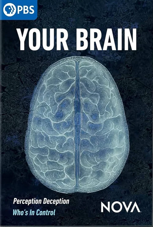 Movie poster for Your Brain (2023)