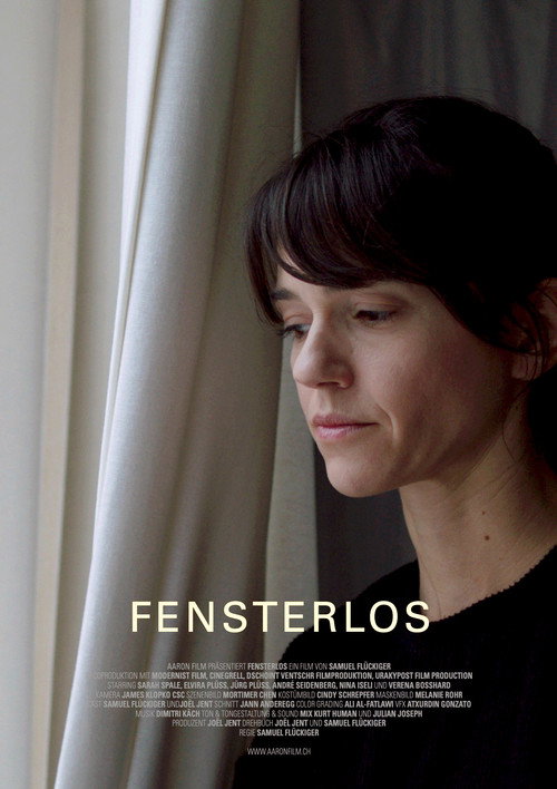 Movie poster for Fensterlos (2020)