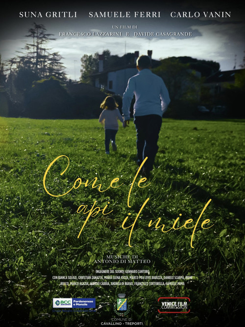 Movie poster for Come le api il miele (2024)