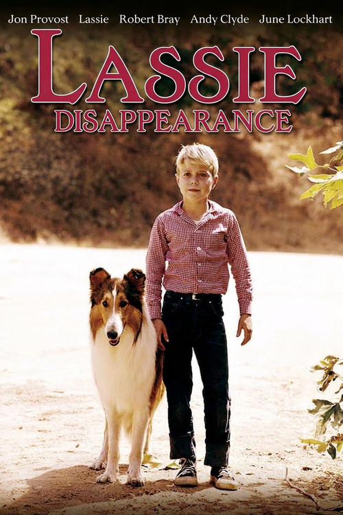 Movie poster for Lassie: Disappearance (1964)