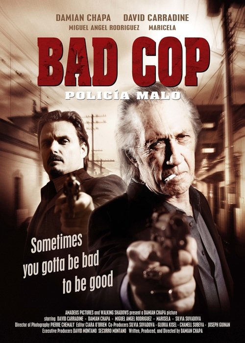 Movie poster for Bad Cop (2009)