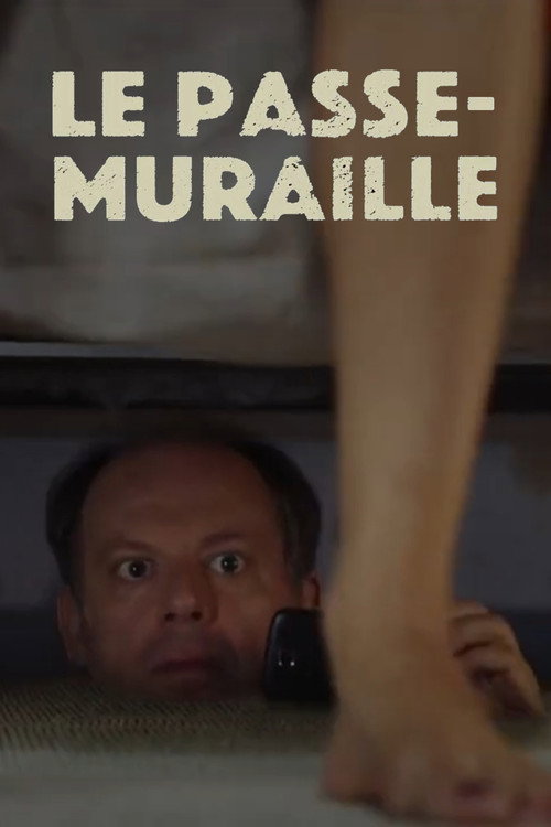 Movie poster for Le passe-muraille (2016)