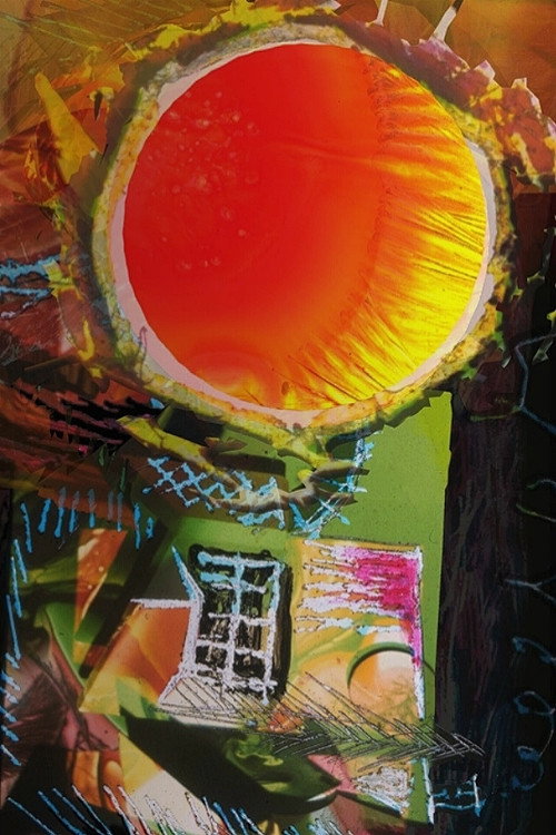 Movie poster for Terra (2005)