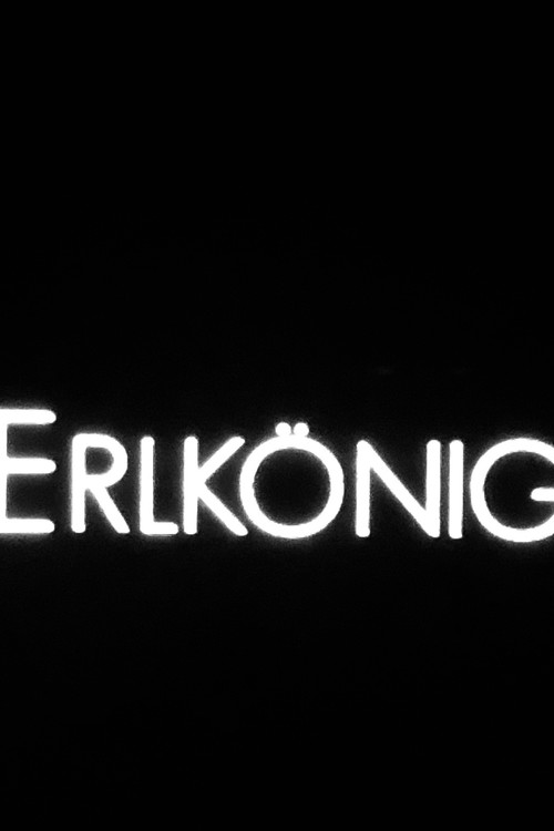 Movie poster for Erlkönig (2007)