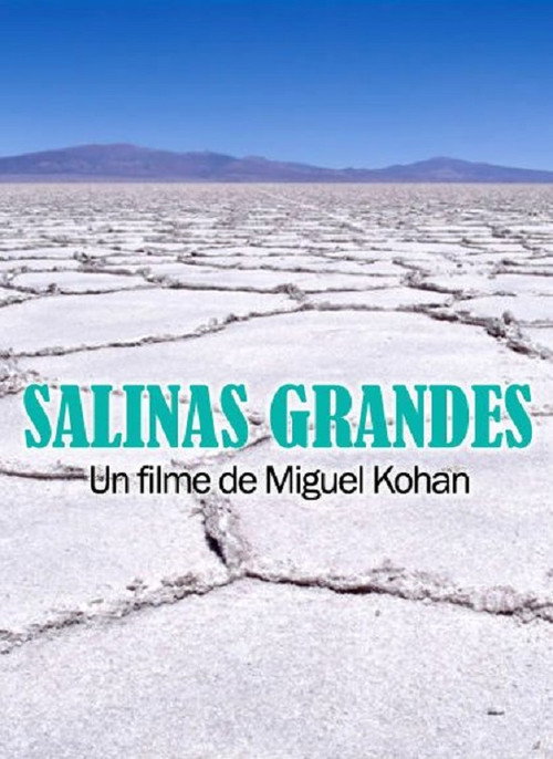 Movie poster for Salinas grandes (2014)