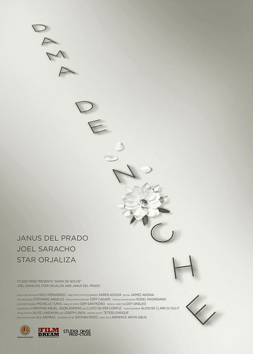 Movie poster for Dama de Noche (2020)