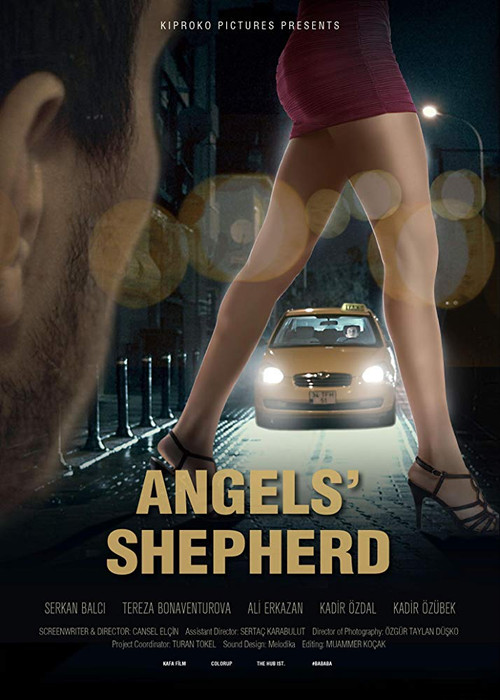 Movie poster for Angels'Shepherd (2016)