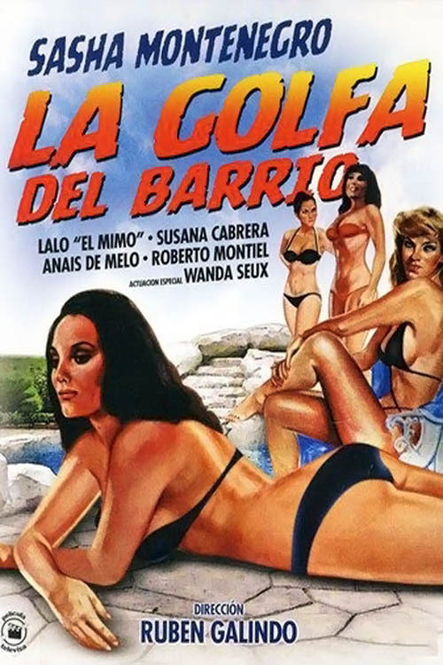 Movie poster for La golfa del barrio (1982)
