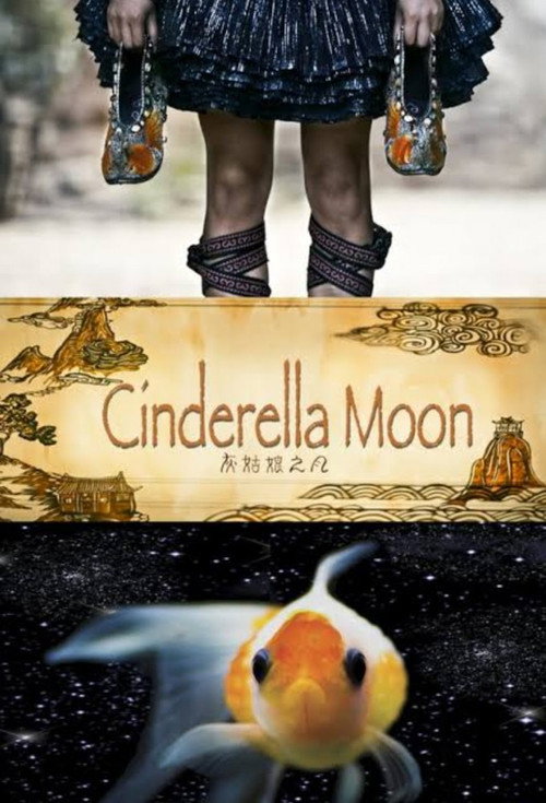Movie poster for Cinderella Moon (2010)
