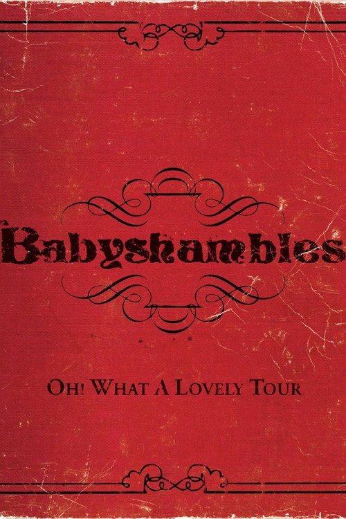 Movie poster for Oh! What a Lovely Tour - Babyshambles Live (2008)