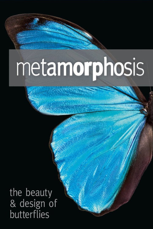 Movie poster for Metamorphosis: The Design and Beauty of Butterflies (2011)