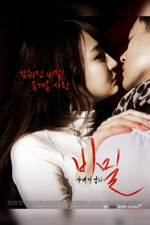 Movie poster for Secret: A Wife's Man (2016)