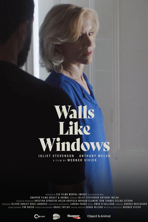 Movie poster for Walls Like Windows (2022)