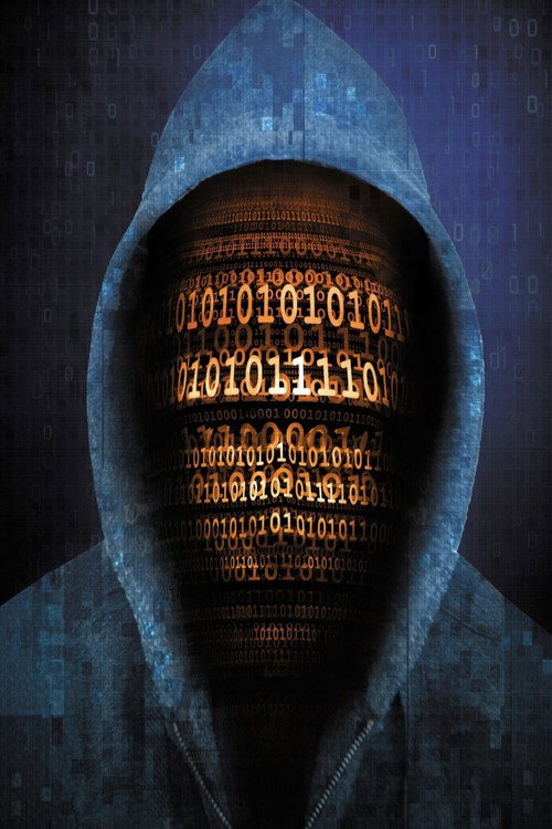 Movie poster for Horizon: Defeating the Hackers (2013)