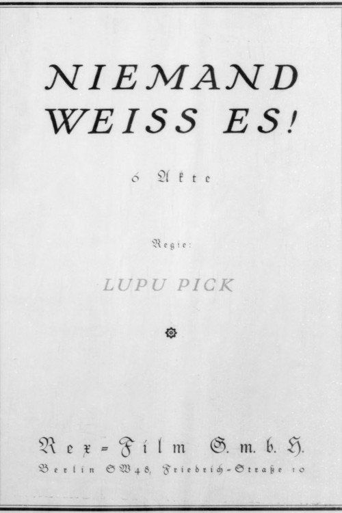 Movie poster for Niemand weiß es (1920)
