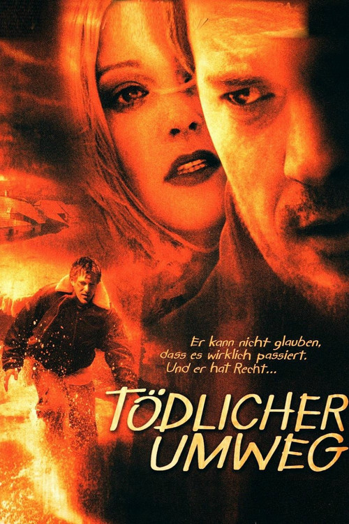 Movie poster for Deadly Diversion (2004)
