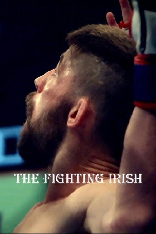 Movie poster for The Fighting Irish (2015)