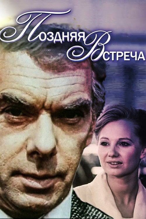 Movie poster for Late Meeting (1979)