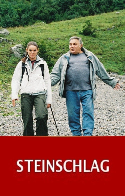 Movie poster for Steinschlag (2005)