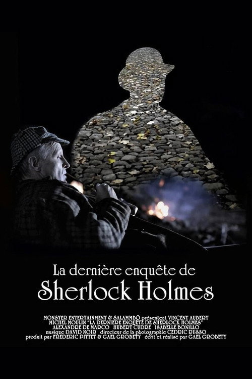 Movie poster for La dernière enquête de Sherlock Holmes (2010)