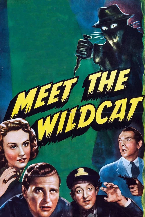 Movie poster for Meet the Wildcat (1940)