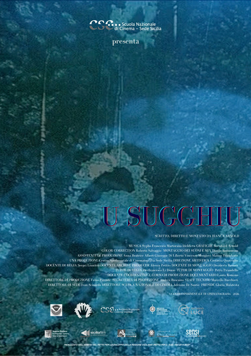 Movie poster for U Sugghiu (2026)