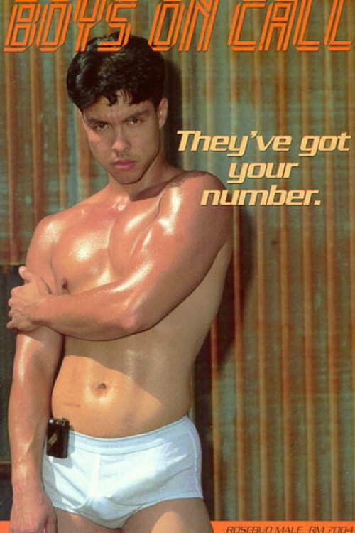 Movie poster for Boys on Call (1992)