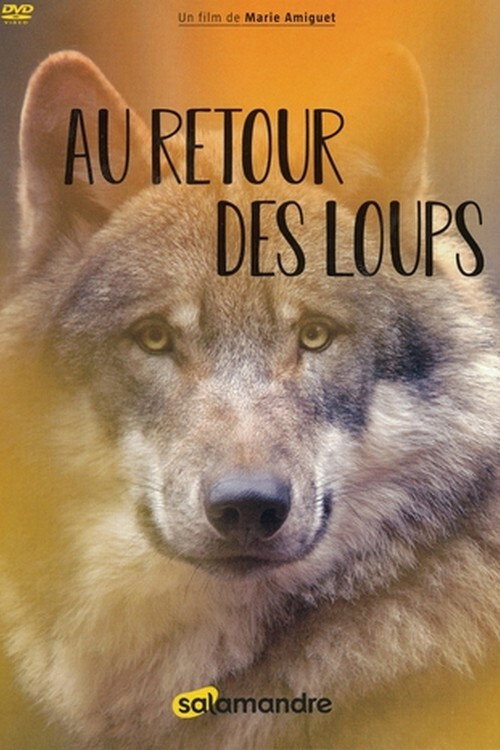 Movie poster for Au retour des loups (2020)