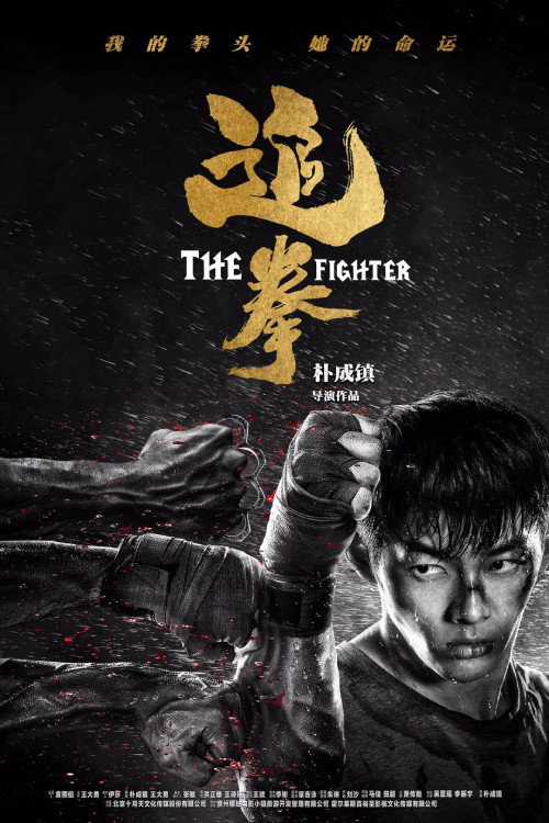 Movie poster for The Fighter (2019)