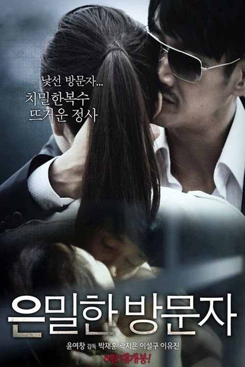 Movie poster for Secret Visitor (2015)