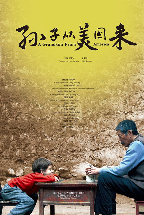 Movie poster for A Grandson from America (2012)