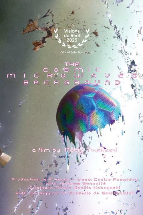 Movie poster for The Cosmic Microwaves Background (2025)