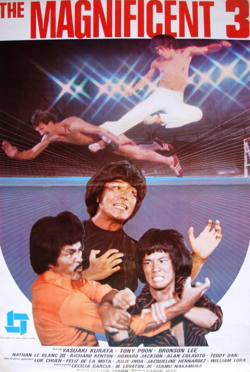 Movie poster for The Magnificent 3 (1980)