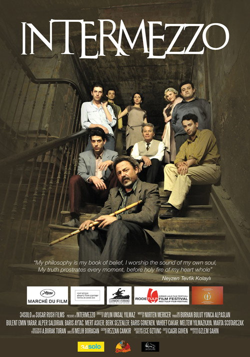 Movie poster for Intermezzo (2014)