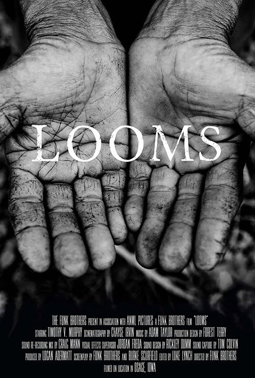 Movie poster for LOOMS (2014)