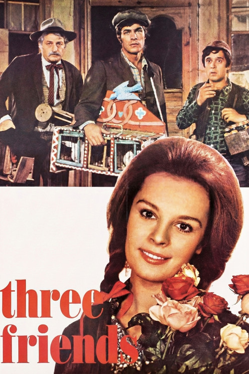 Movie poster for Three Friends (1971)