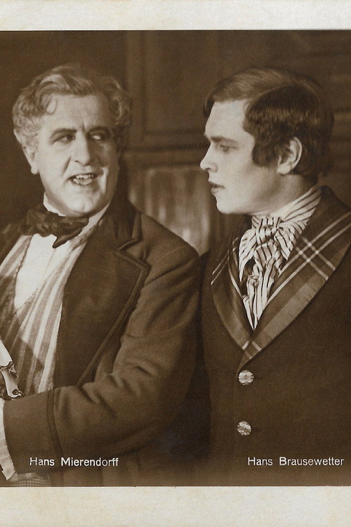 Movie poster for Soll und Haben (1924)