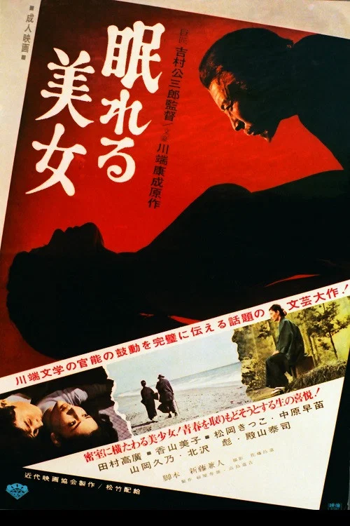Movie poster for The House of the Sleeping Virgins (1968)