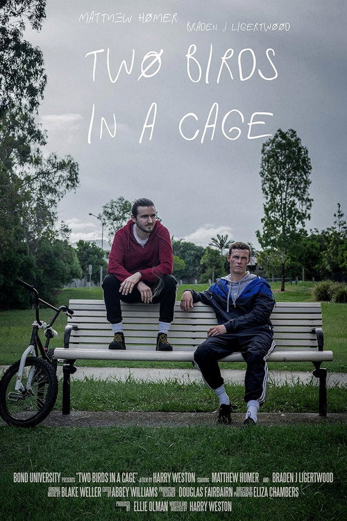 Movie poster for Two Birds in a Cage (2021)