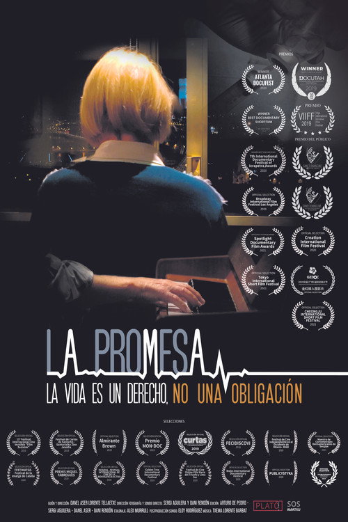 Movie poster for La promesa (2019)