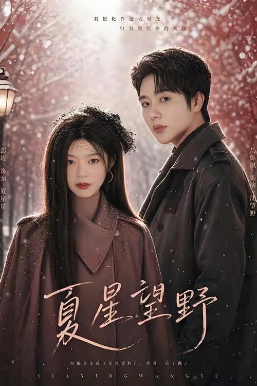 Series poster for 夏星望野 (2026)