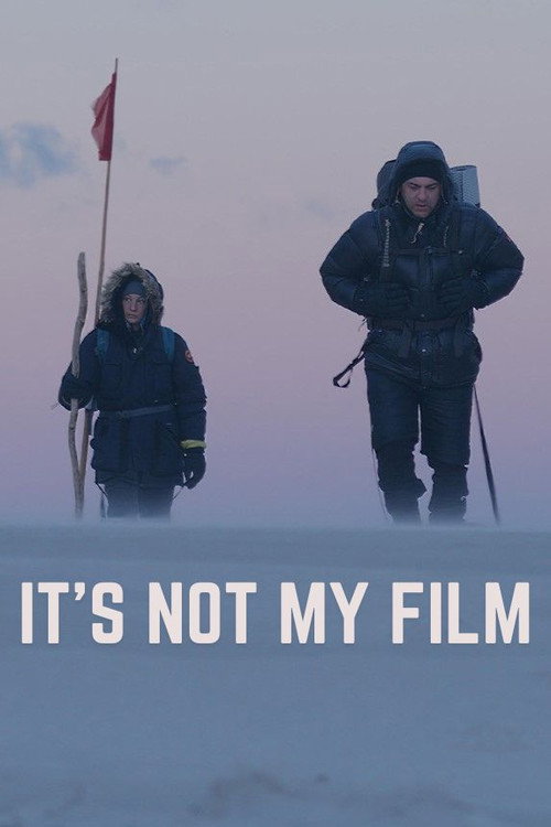 Movie poster for It's Not My Film (2024)