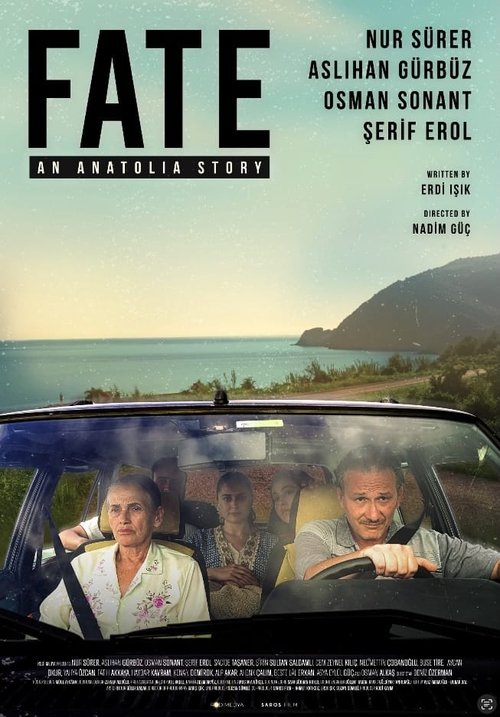 Movie poster for Fate (2024)