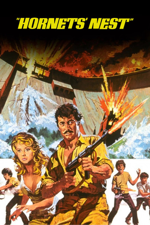 Movie poster for Hornets' Nest (1970)