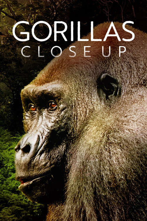 Movie poster for Gorillas Close Up (2022)