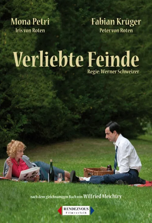 Movie poster for Enemies in Love (2013)