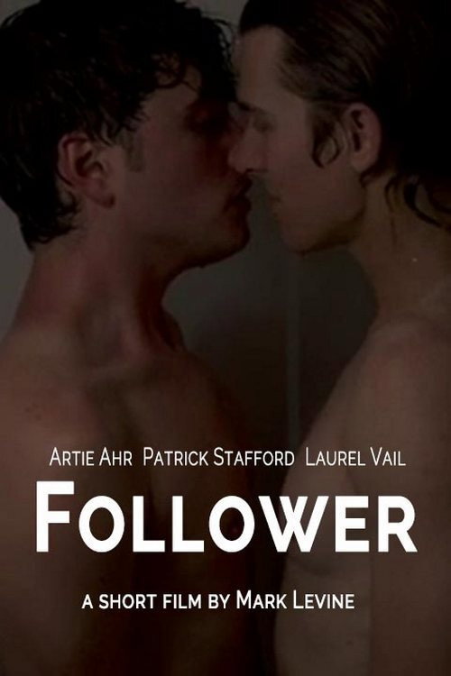 Movie poster for Follower (2009)