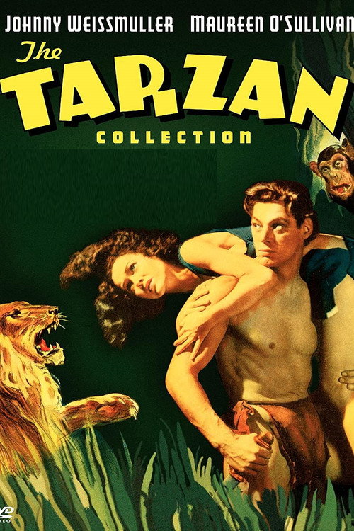 Movie poster for Tarzan: Silver Screen King of the Jungle (2004)